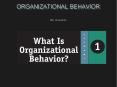 ORGANIZATIONAL BEHAVIOR PowerPoint PPT Presentation