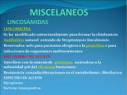 MISCELANEOS LINCOSAMIDAS