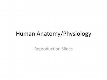 Human Anatomy/Physiology