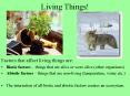 Living Things! PowerPoint PPT Presentation