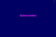 Salmonelles