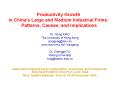 Productivity Growth in China's Large and Medium Industrial Firms: Patterns, Causes, and Implications PowerPoint PPT Presentation