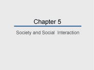 Society and Social Interaction