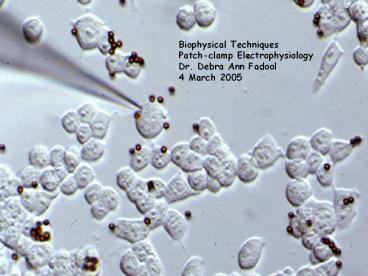 Biophysical Techniques