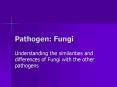 Pathogen: Fungi PowerPoint PPT Presentation