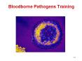 Bloodborne Pathogens Training PowerPoint PPT Presentation