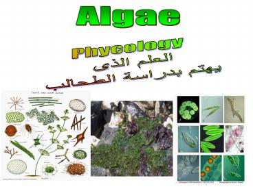 presentation player overlay