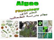 Algae