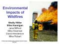 Environmental Impacts of Wildfires PowerPoint PPT Presentation