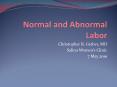 Normal and Abnormal Labor PowerPoint PPT Presentation