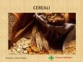 CEREALI PowerPoint PPT Presentation