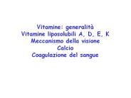 Vitamine: generalit
