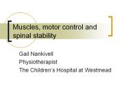 Muscles, motor control and spinal stability