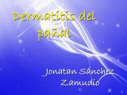 Dermatitis del pa
