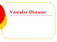 Vascular Diseases PowerPoint PPT Presentation