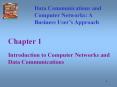 Introduction to Computer Networks and Data Communications PowerPoint PPT Presentation