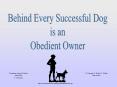 Companion Animal Behavior PowerPoint PPT Presentation