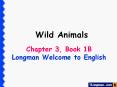 Wild Animals PowerPoint PPT Presentation