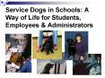 Service Dogs in Schools: A Way of Life for Students, Employees PowerPoint PPT Presentation