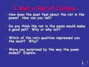 I Met a Rat of Culture