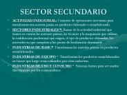 SECTOR SECUNDARIO