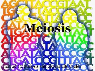 PPT – Meiosis PowerPoint presentation | free to download - id: 5141bd-YWJhN