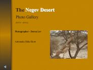 The Negev Desert Photo Gallery 2001 - 2003