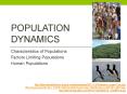 Population Dynamics PowerPoint PPT Presentation