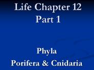 Life Chapter 12 Part 1
