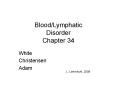 Blood/Lymphatic Disorder Chapter 34 PowerPoint PPT Presentation