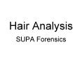 Hair Analysis PowerPoint PPT Presentation