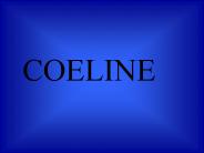 COELINE