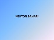 NEKTON BAHARI
