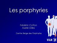 Les porphyries  Fr