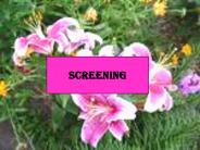 SCREENING