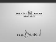 LA SOCIEDAD POR ACCIONES (Spa)