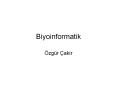 Biyoinformatik PowerPoint PPT Presentation