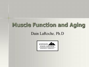 Muscle Function and Aging