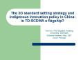 The 3G standard setting strategy and indigenous innovation policy in China: is TD-SCDMA a flagship? PowerPoint PPT Presentation