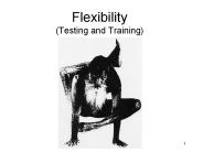 Flexibility%20(Testing%20and%20Training)