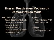 Human Respiratory Mechanics Demonstration Model