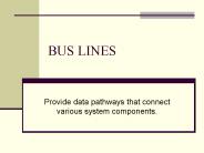 BUS LINES