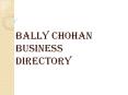 Bally Chohan Business Directory Dubai