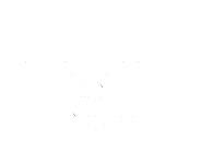 Bayesian Instruments Via Dirichlet Process Priors