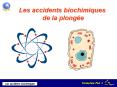Les accidents biochimiques de la plong PowerPoint PPT Presentation
