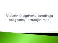 Vidurinio ugdymo bendruju programu atnaujinimas PowerPoint PPT Presentation