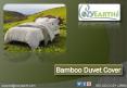 Use a Bamboo Duvet Cover for Your Bedroom PowerPoint PPT Presentation