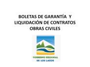 BOLETAS DE GARANT