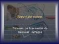 Bases de datos PowerPoint PPT Presentation