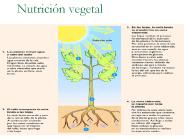 Nutrici